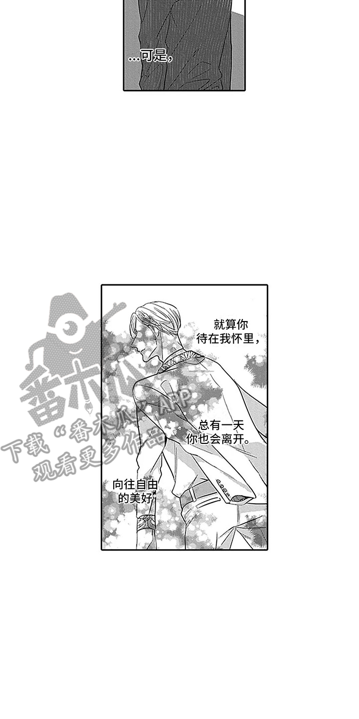 偶像之声伴奏漫画,第24章：表白2图