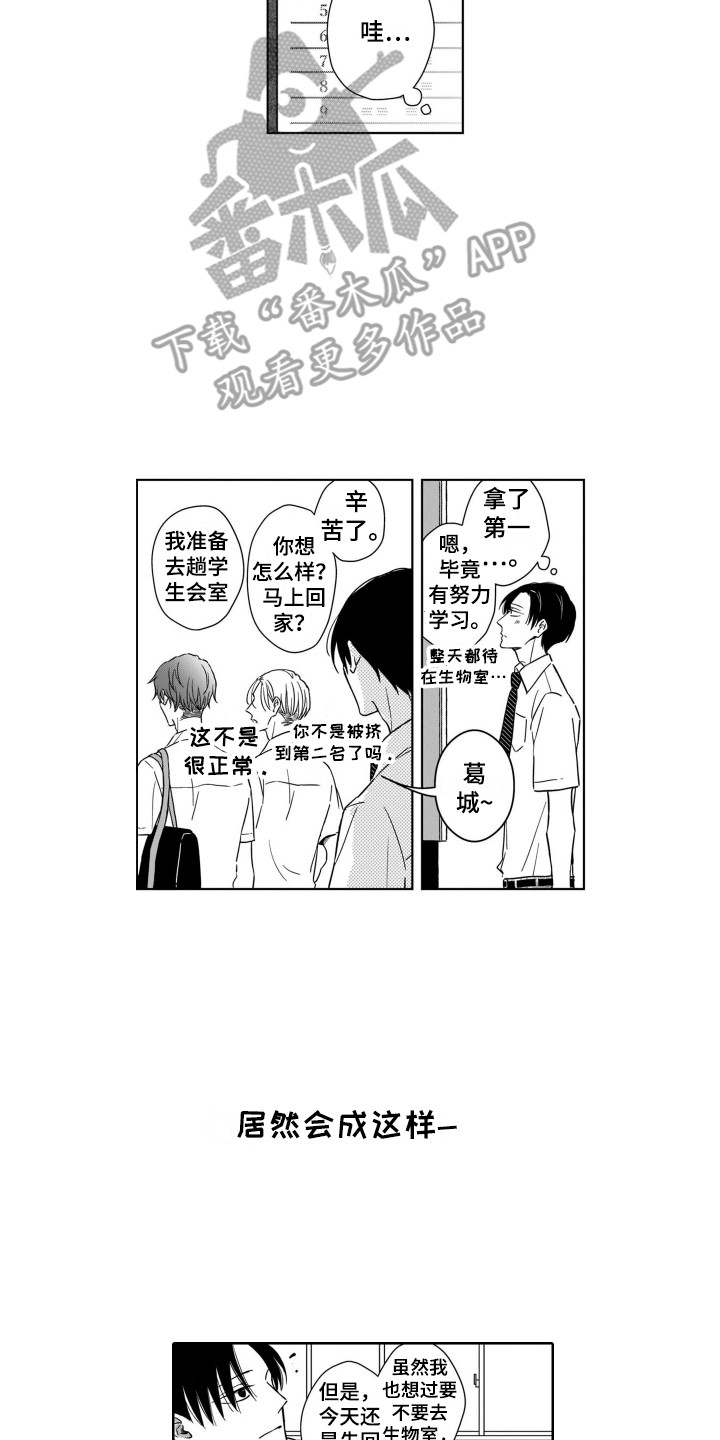 圈养的小猴子漫画,第4章：注视着1图