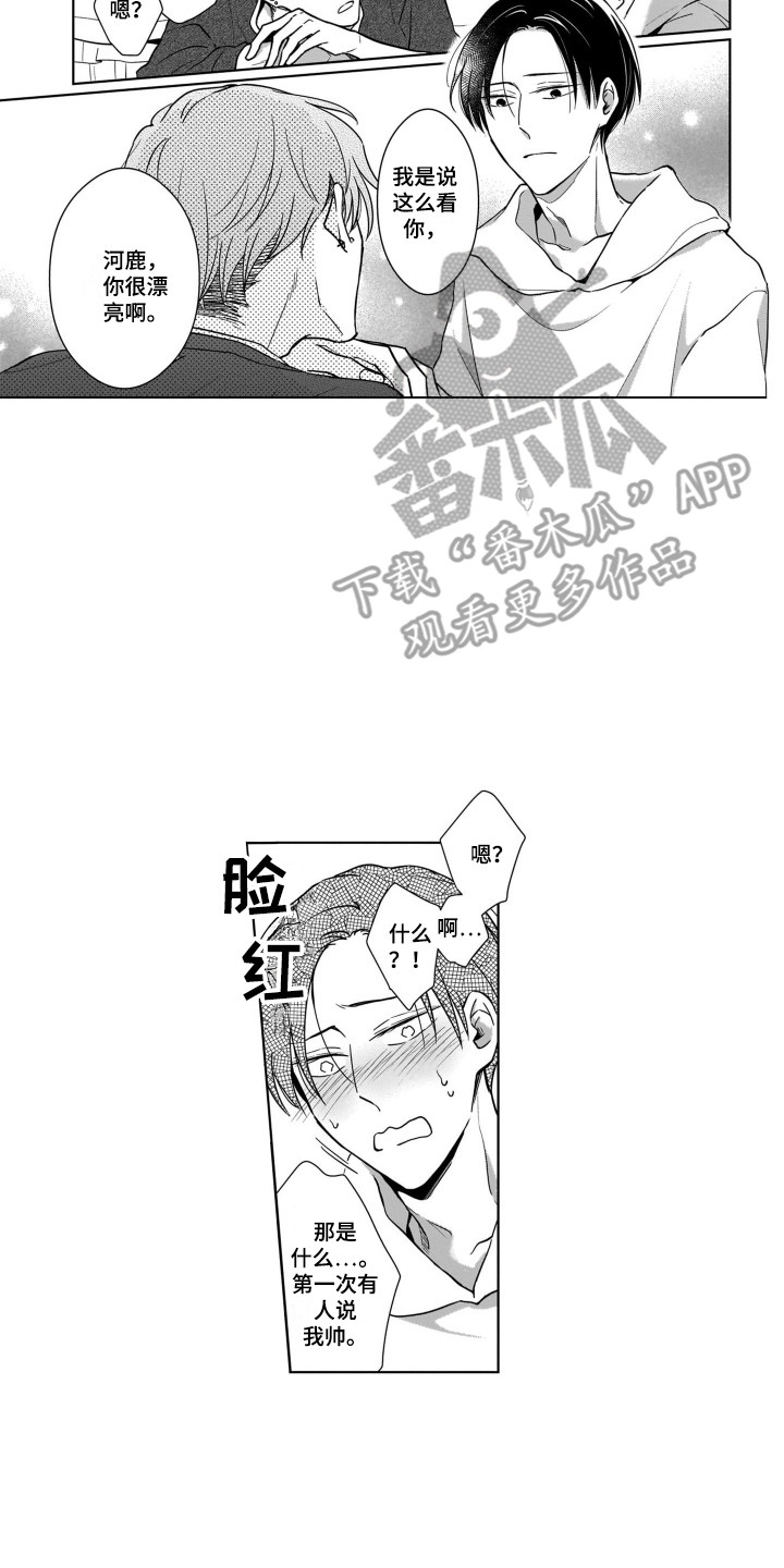 圈养的小狗在散养前需要做好哪些准备工作漫画,第16章：来家里2图