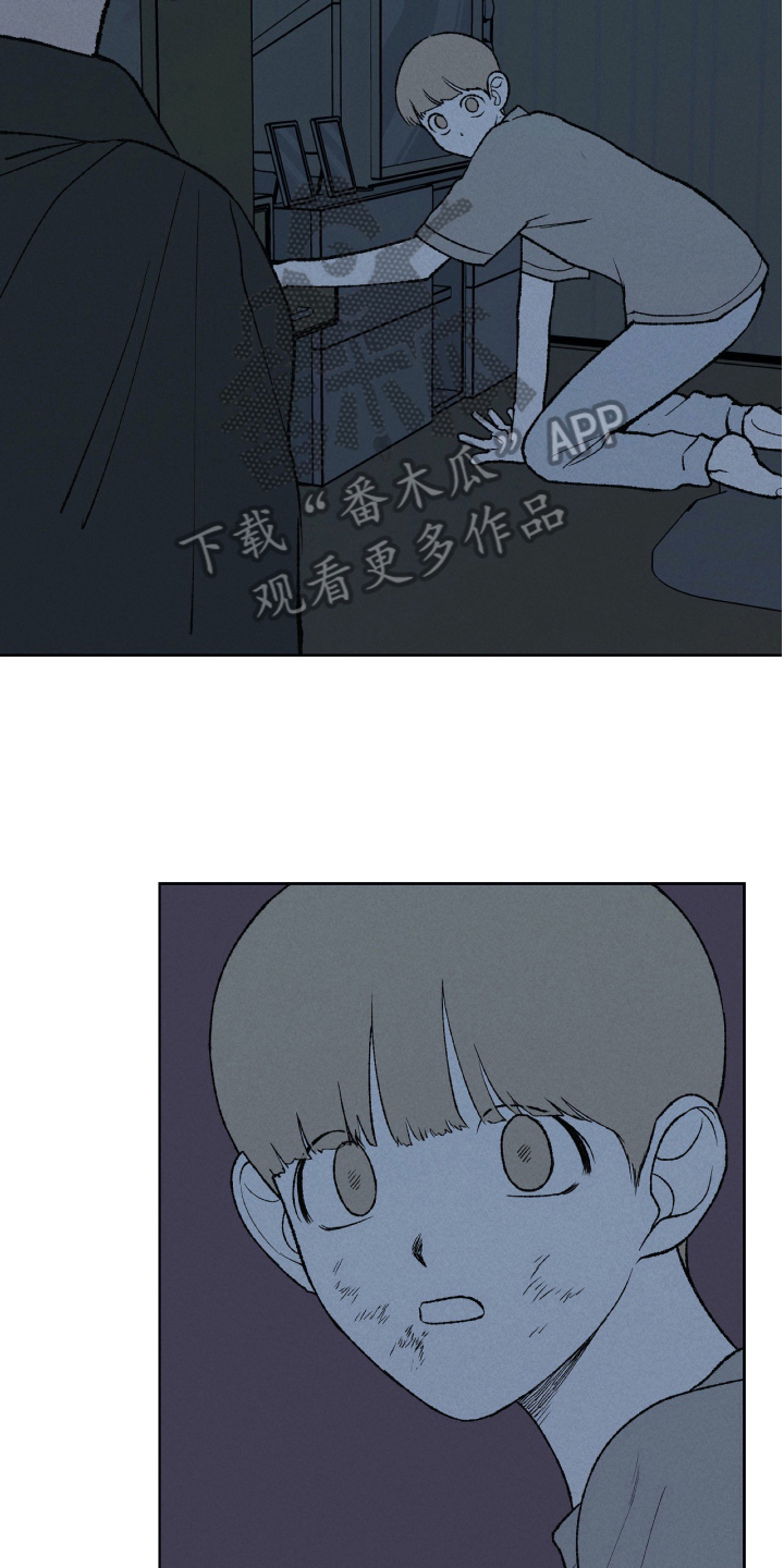 无生母的来历怎么讲漫画,第24章：日记1图