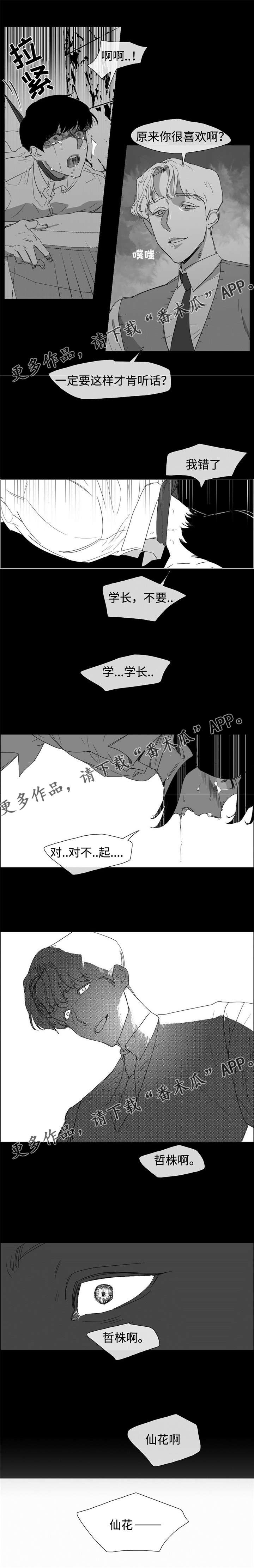 白水仙24小时的天气预报漫画,第13章：同居三天1图