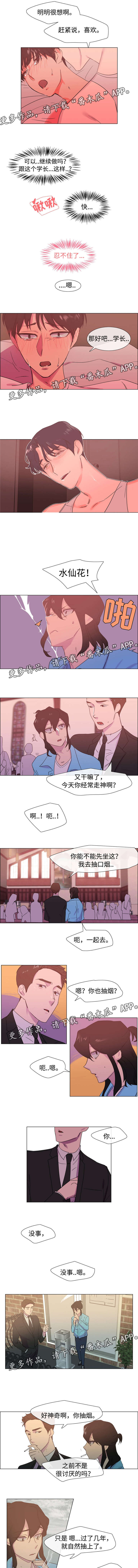 白水仙瀑原唱漫画,第19章：他的婚礼2图