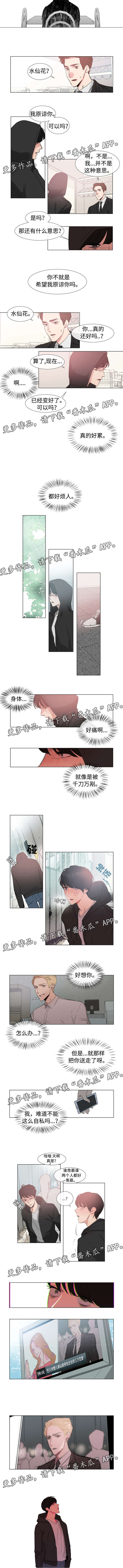 白水仙天气预报漫画,第54章：新闻1图