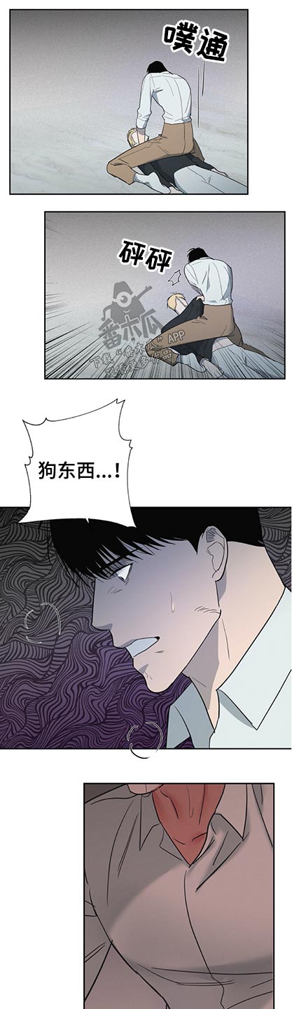 七日之都正轨的箱庭攻略漫画,第56章：第七养子【完结】2图