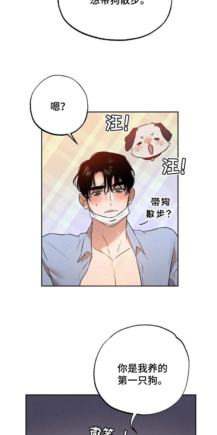 意外之喜小轮车漫画,第50章：散步2图