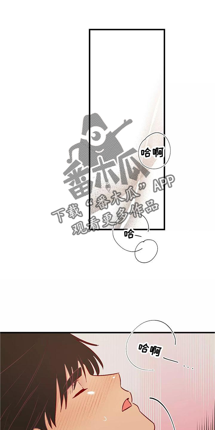 海市王国韩漫漫画,第84章：互相的心意1图