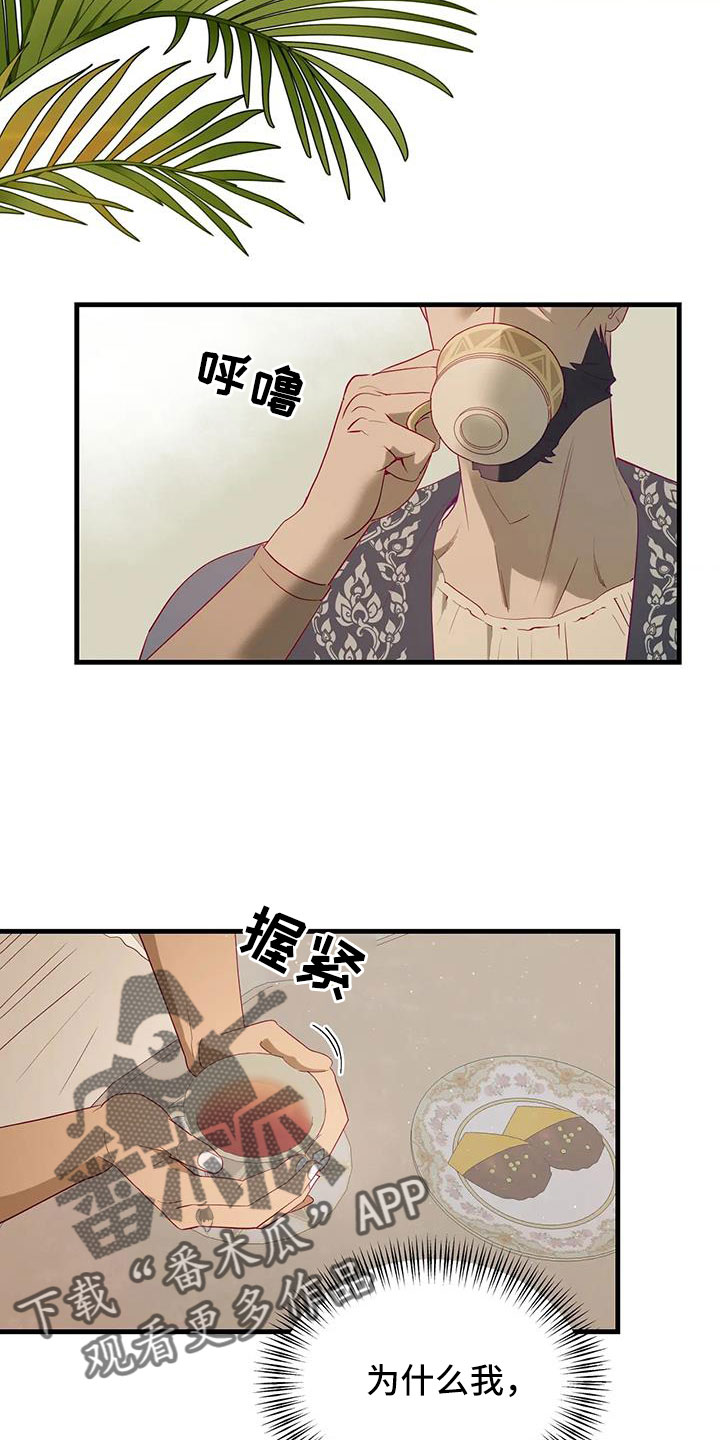 海市蜃楼团购套餐漫画,第114章：机密2图