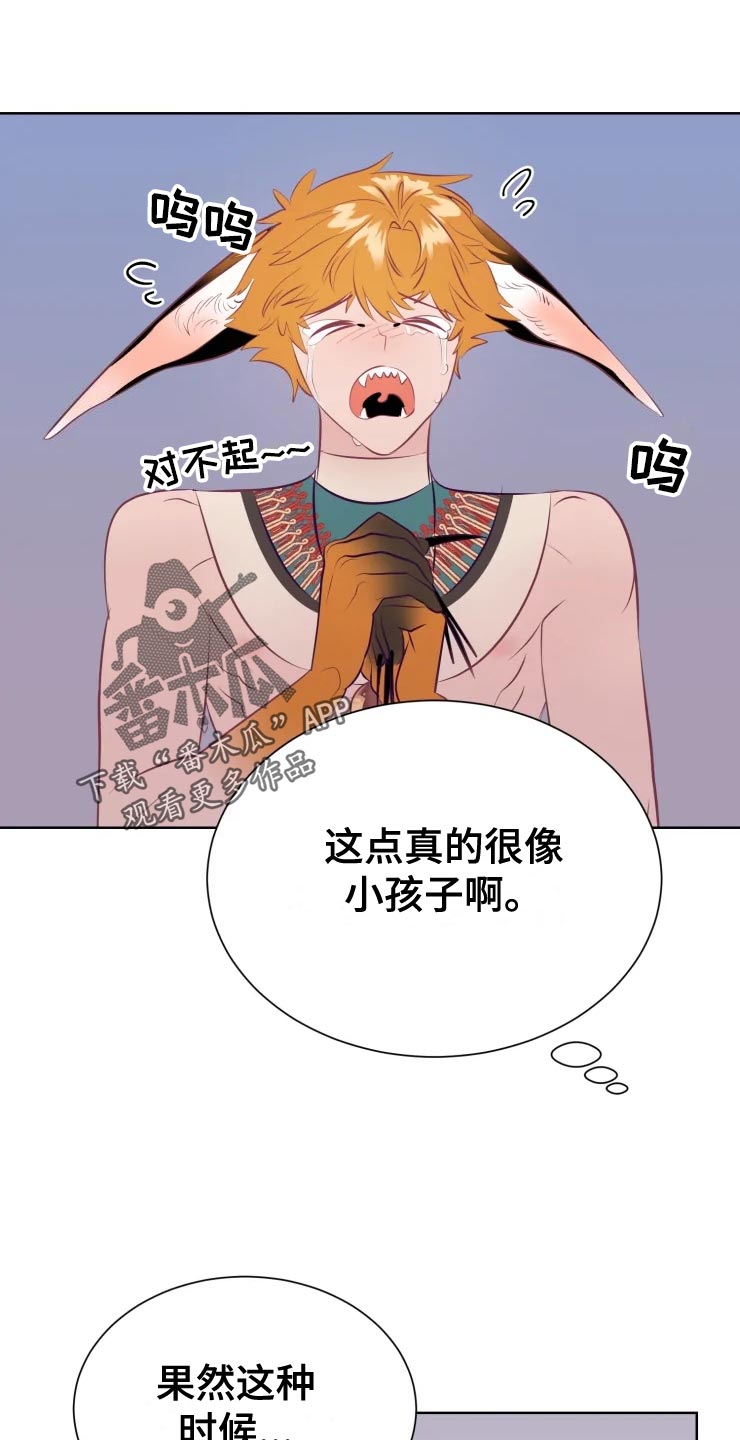 海市蜃楼团购套餐漫画,第36章：王国庆典2图