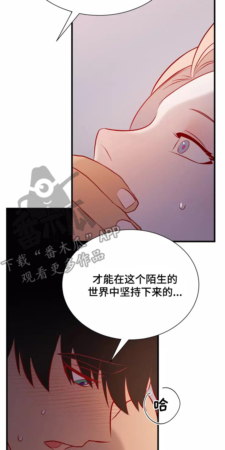 还是忘不了你简谱漫画,第54章：一见钟情2图