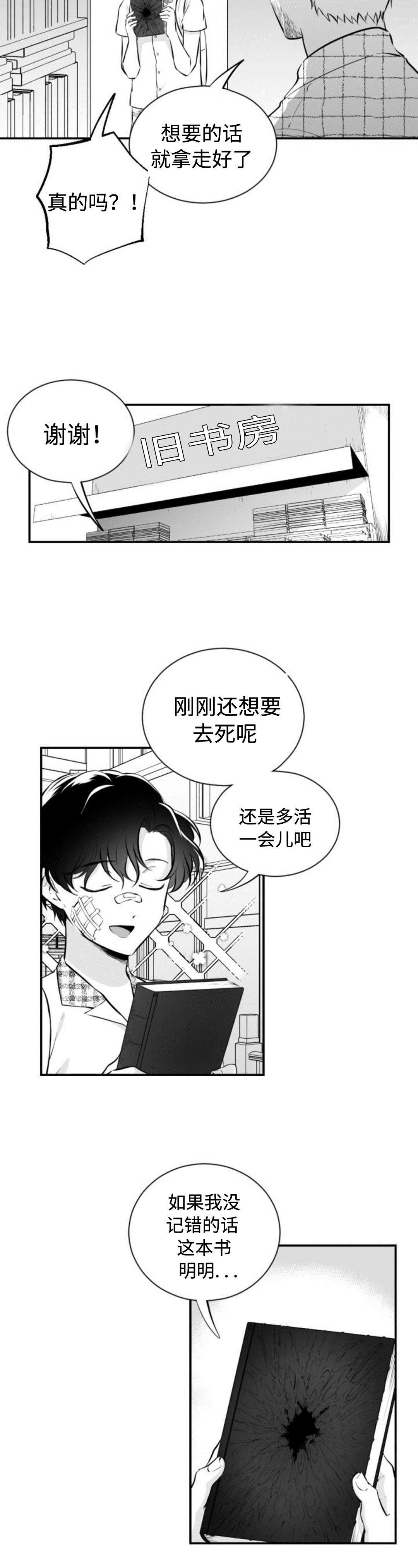 爱书音听书在线漫画,第33章：旧书房2图