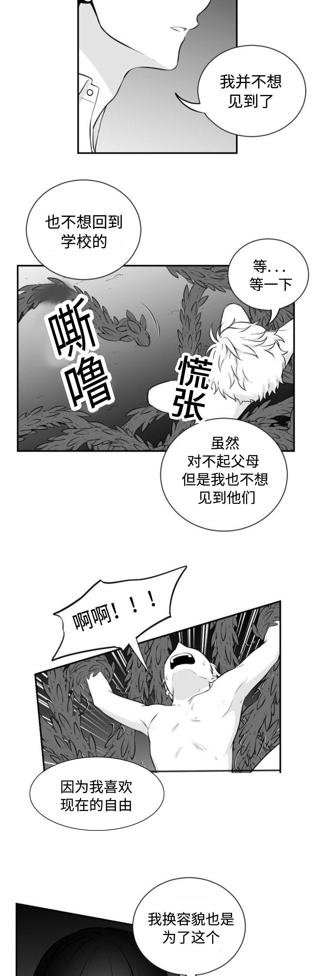 爱书法网站漫画,第36章：喜欢自由1图