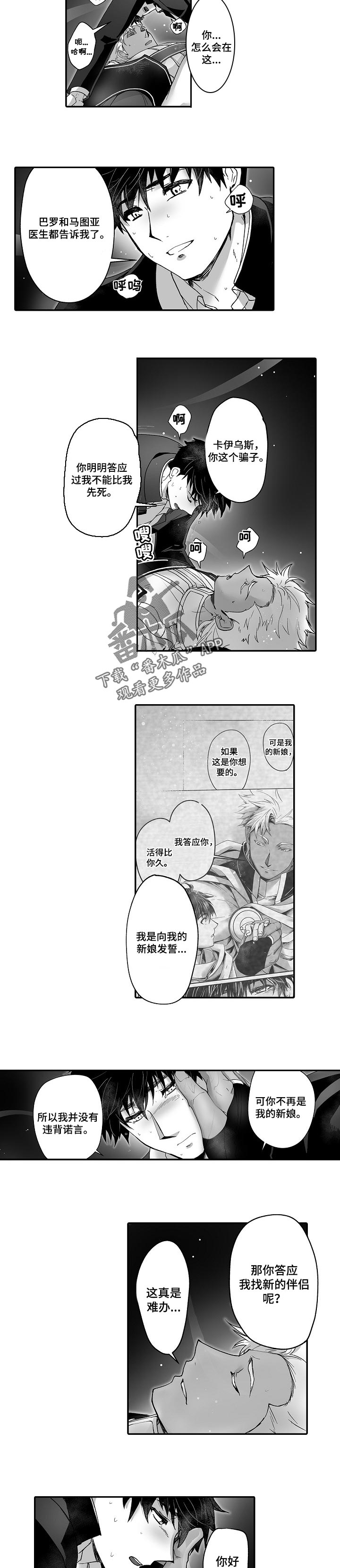 巨型新娘漫画,第47章：真正的新娘2图