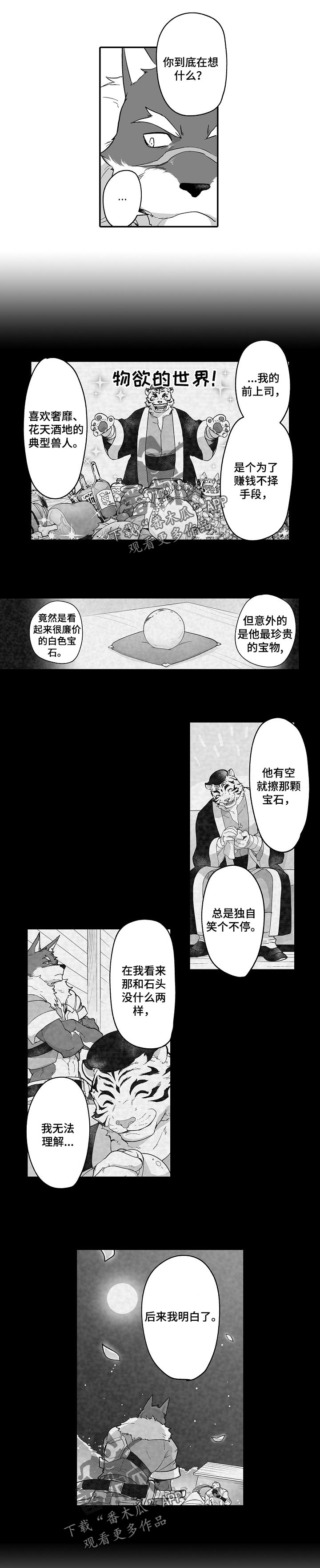 巨型八爪鱼漫画,第48章：一直看下去2图
