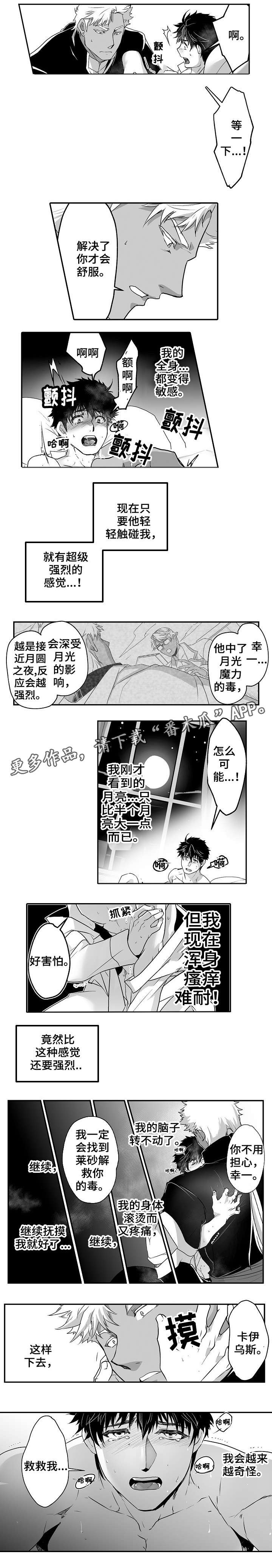 巨型新娘漫画,第15章：都喜欢2图