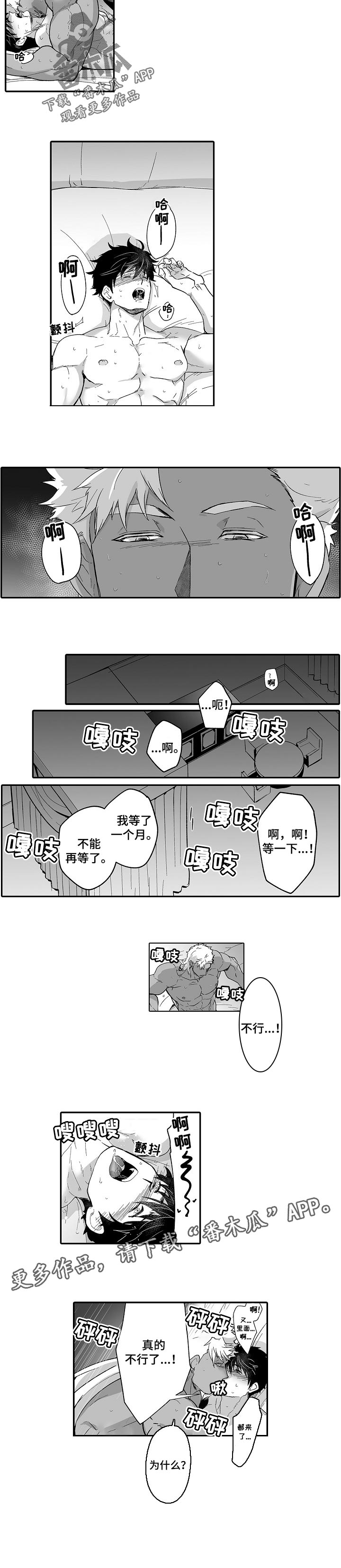巨型八爪鱼漫画,第52章：不能再等了1图
