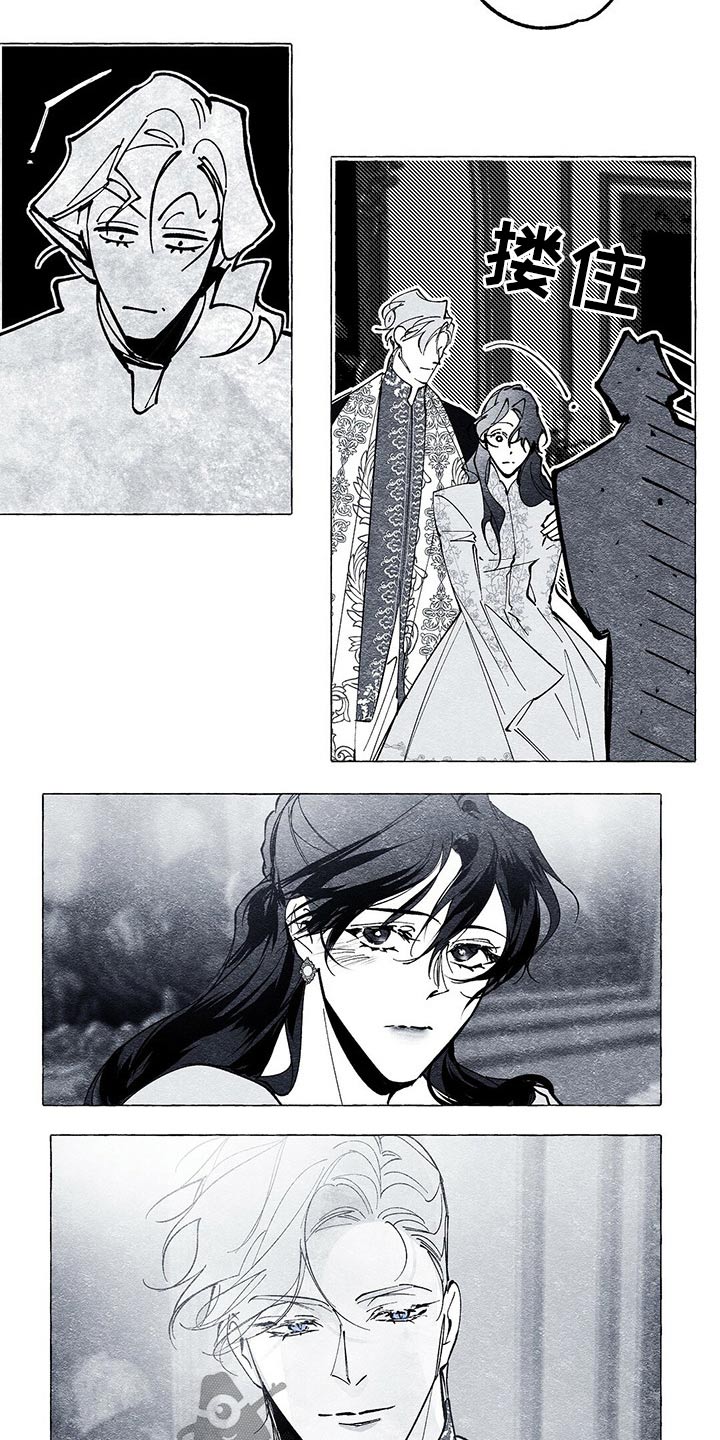 面纱里的影漫画,第27章：生日派对2图