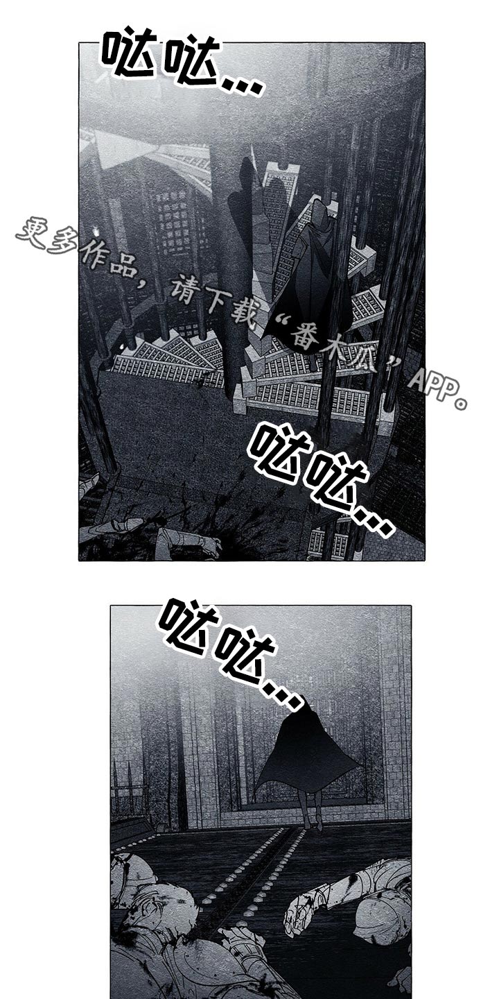 面纱里的影漫画,第37章：解救1图