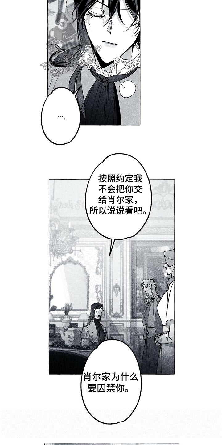 面纱里的影漫画,第45章：查清楚2图
