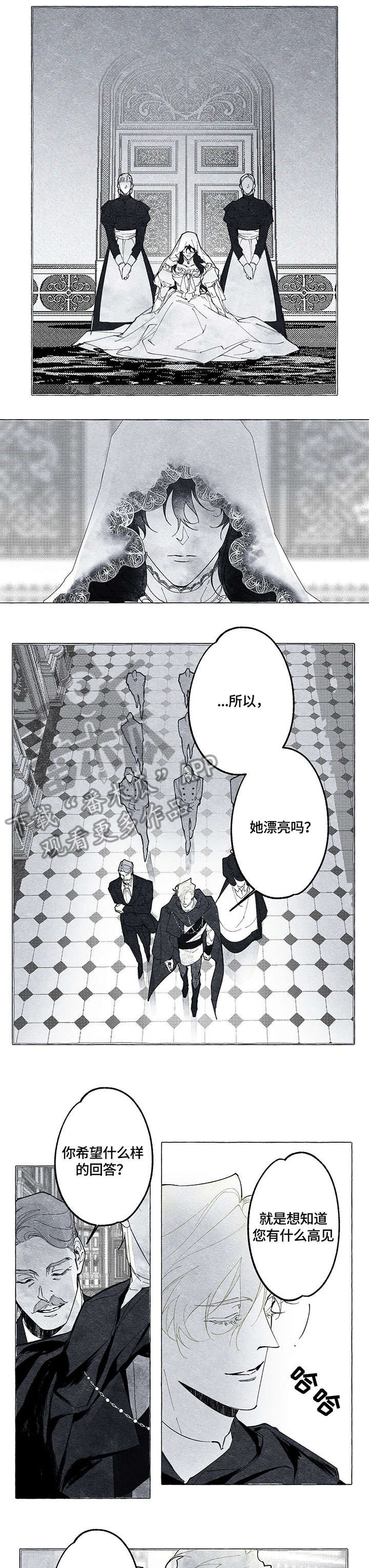 面纱里的影漫画,第14章：妖艳2图