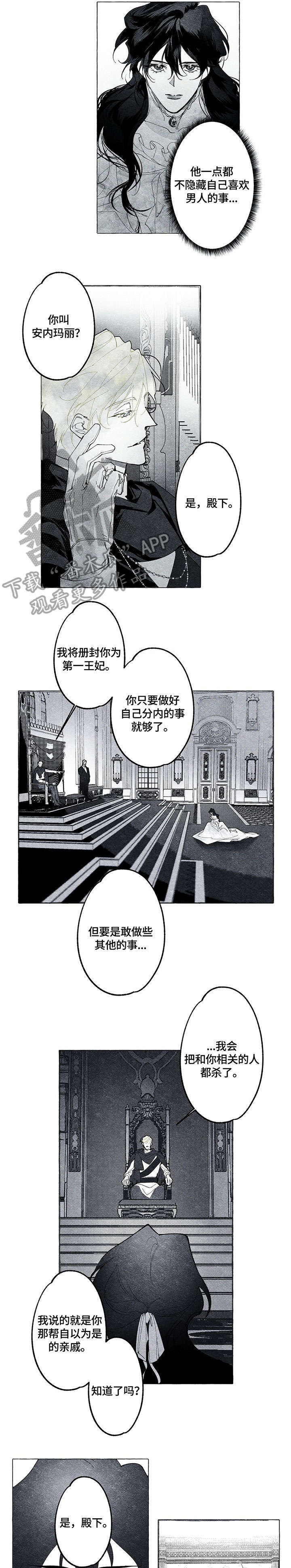 面纱里的影漫画,第15章：寝宫1图