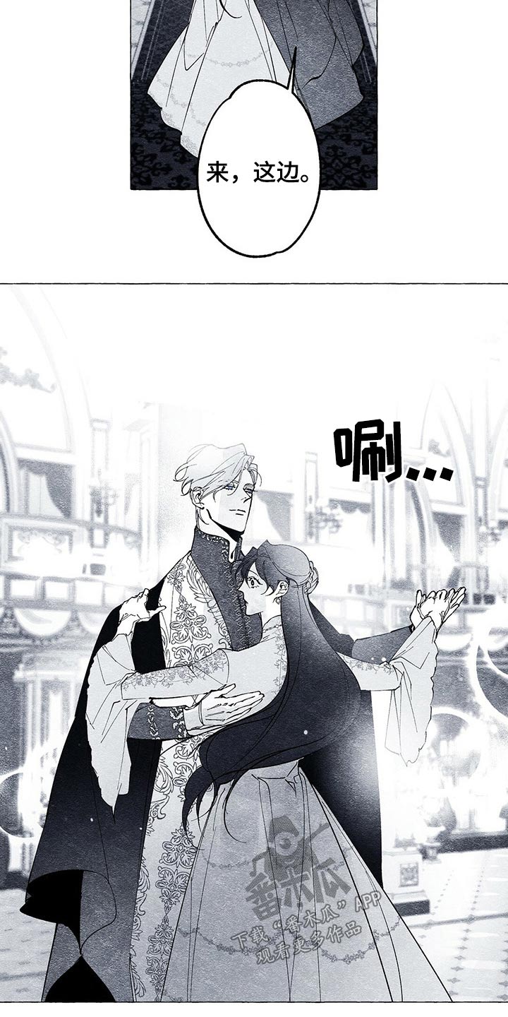 面纱里的影漫画,第27章：生日派对2图