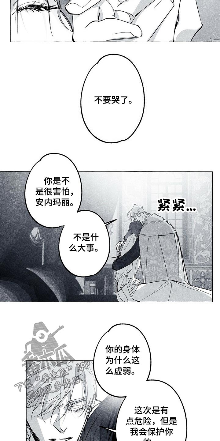 面纱里的影漫画,第42章：审讯2图