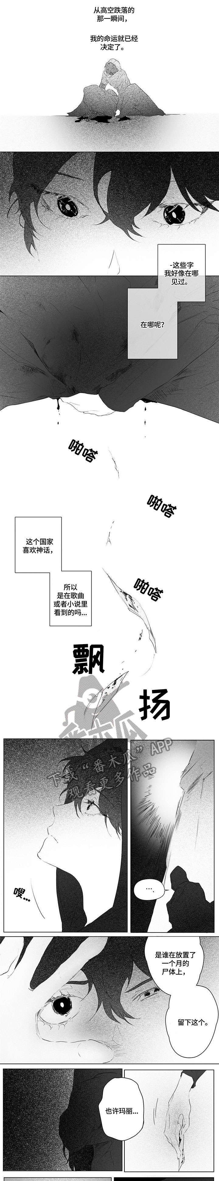 面纱里的影漫画,第4章：尸体2图