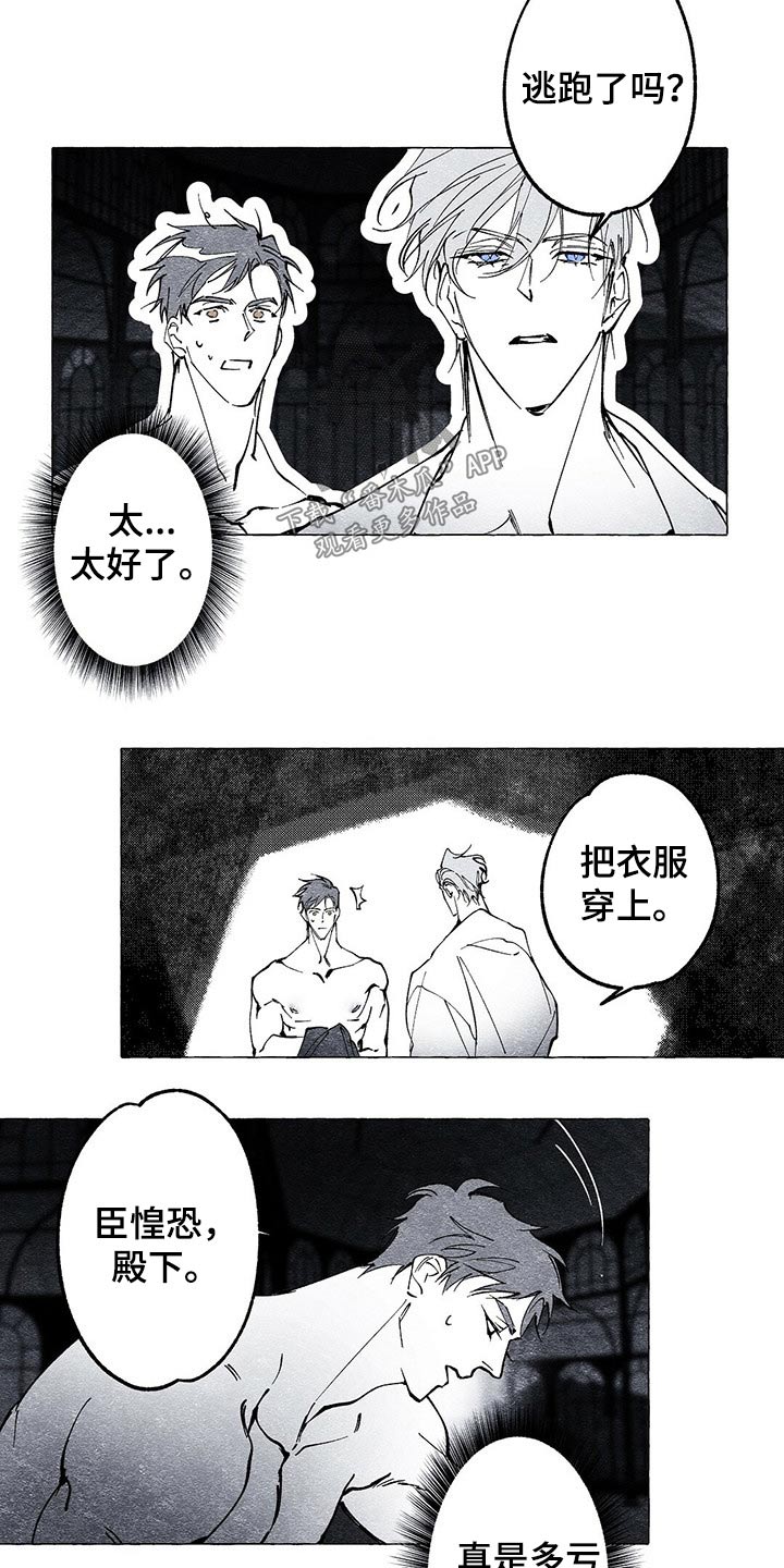 面纱里的影漫画,第22章：抓活的1图