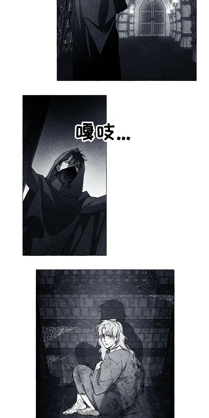 面纱里的影漫画,第37章：解救1图