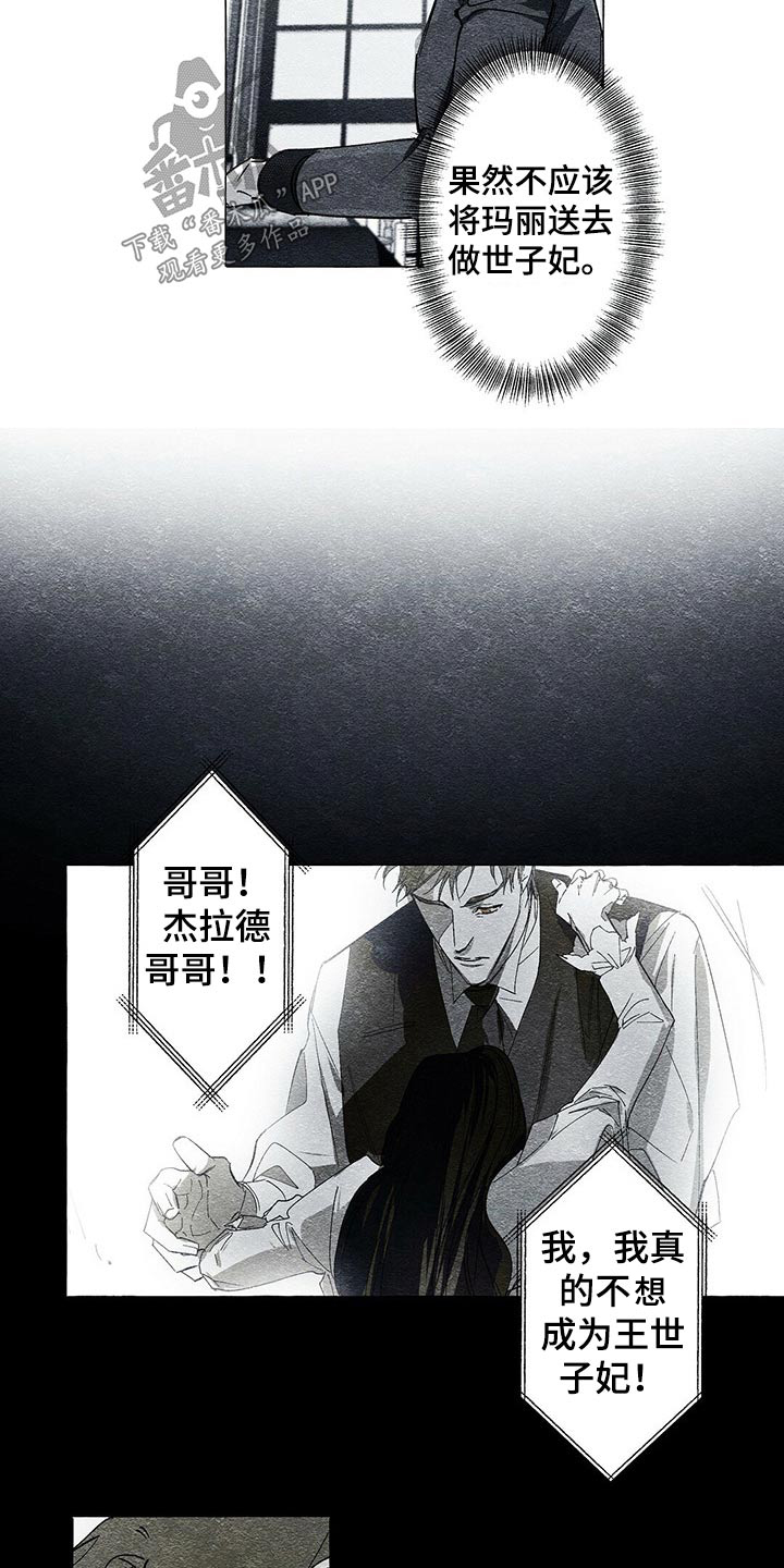 面纱里的影漫画,第45章：查清楚2图