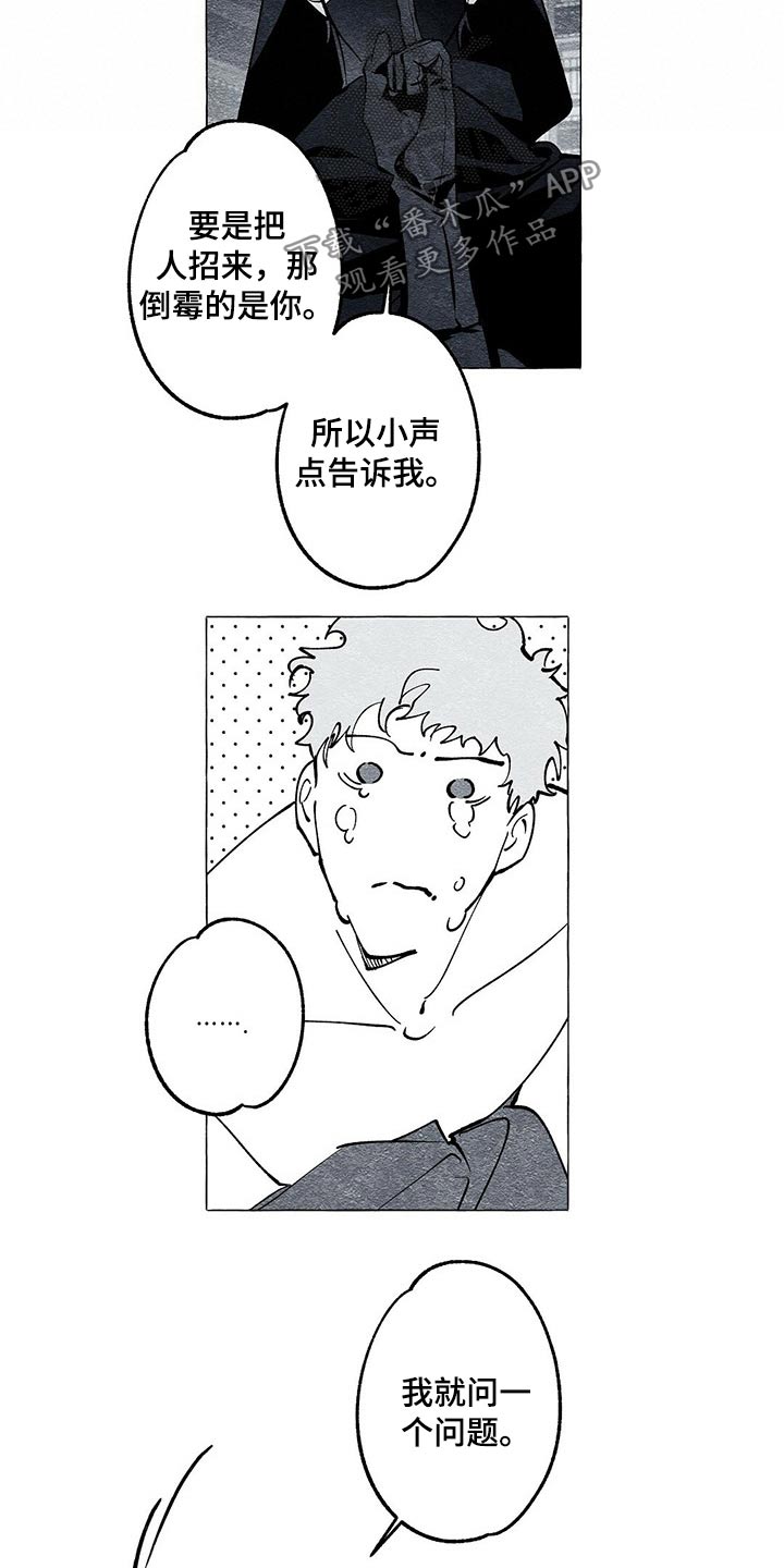 面纱里的影漫画,第36章：帮忙2图