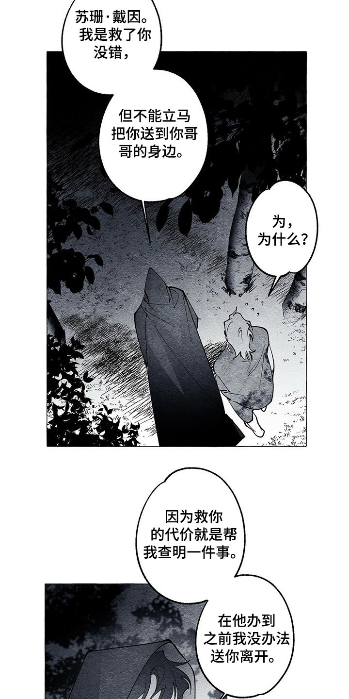 面纱里的影漫画,第37章：解救2图