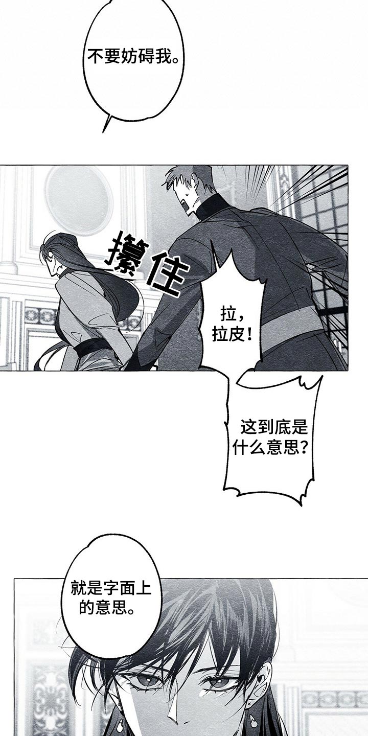 面纱里的影漫画,第46章：信封2图