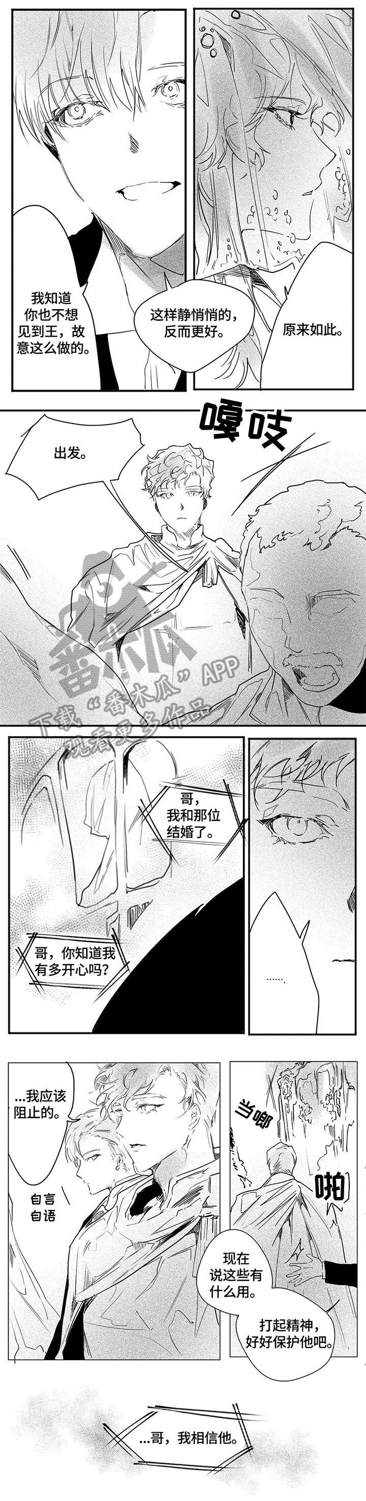 面纱里的影漫画,第12章：妈的2图