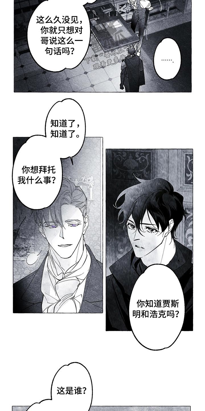 面纱里的影漫画,第20章：搜查2图