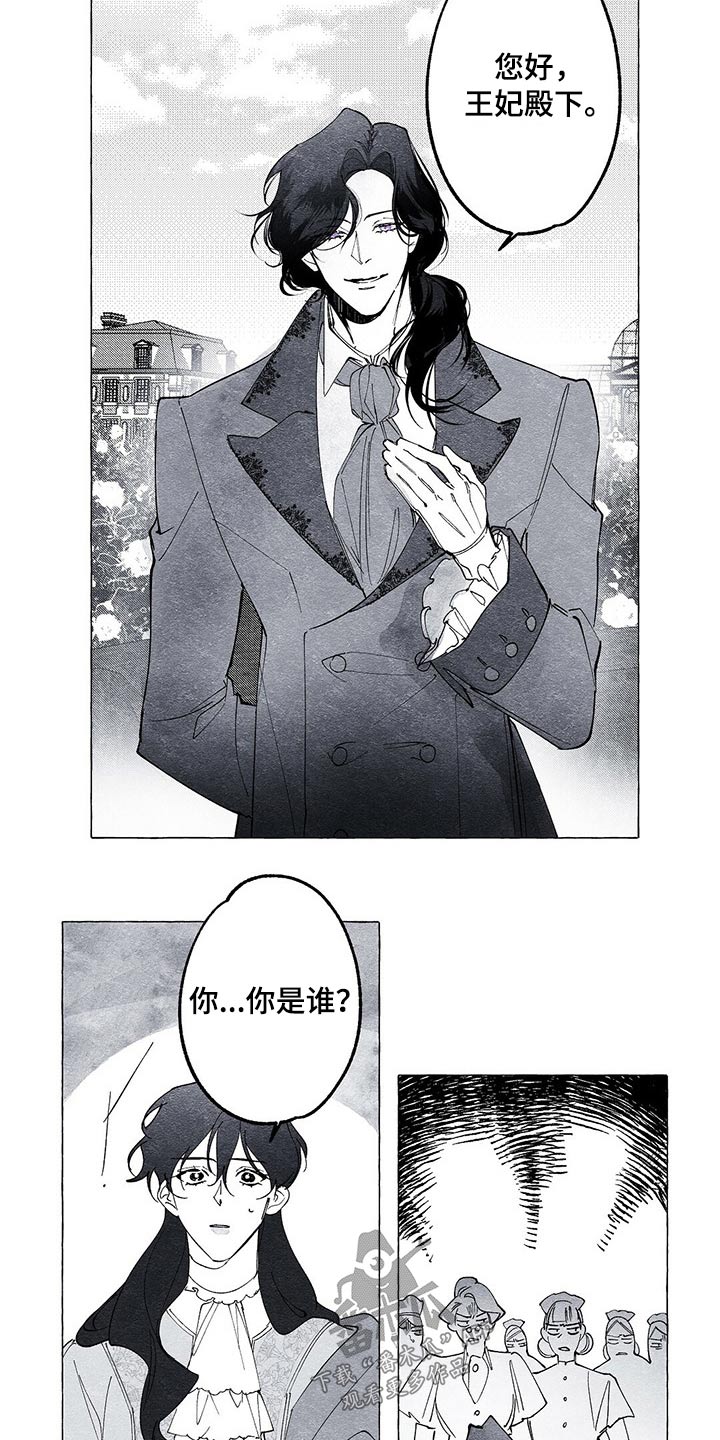 面纱里的影漫画,第17章：晕倒2图