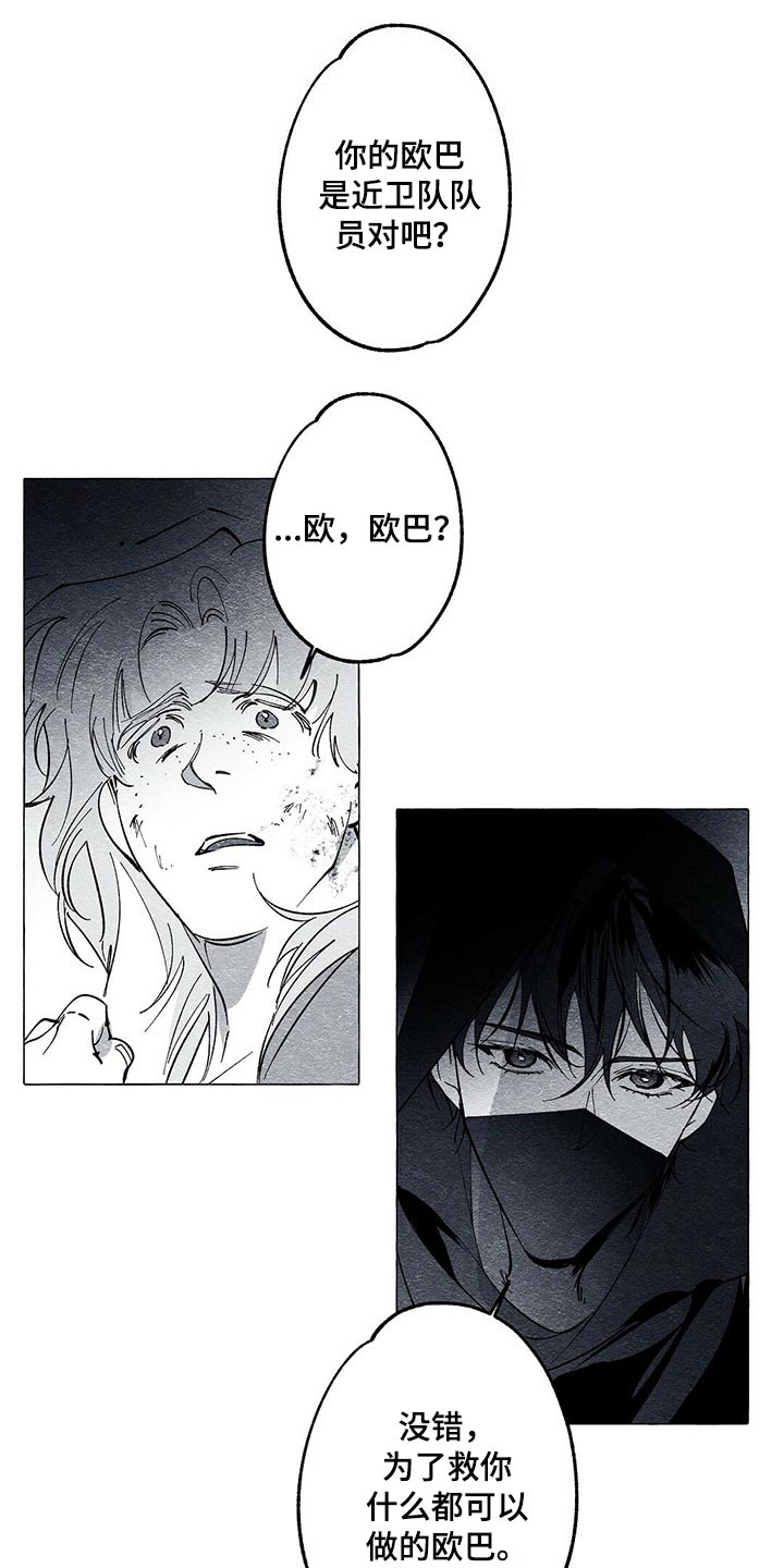 面纱里的影漫画,第37章：解救2图