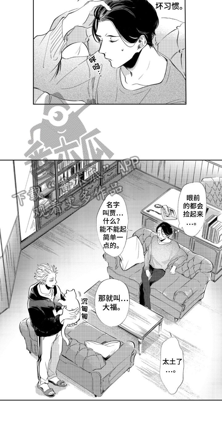 侦探助手小说漫画,第5章：收留2图