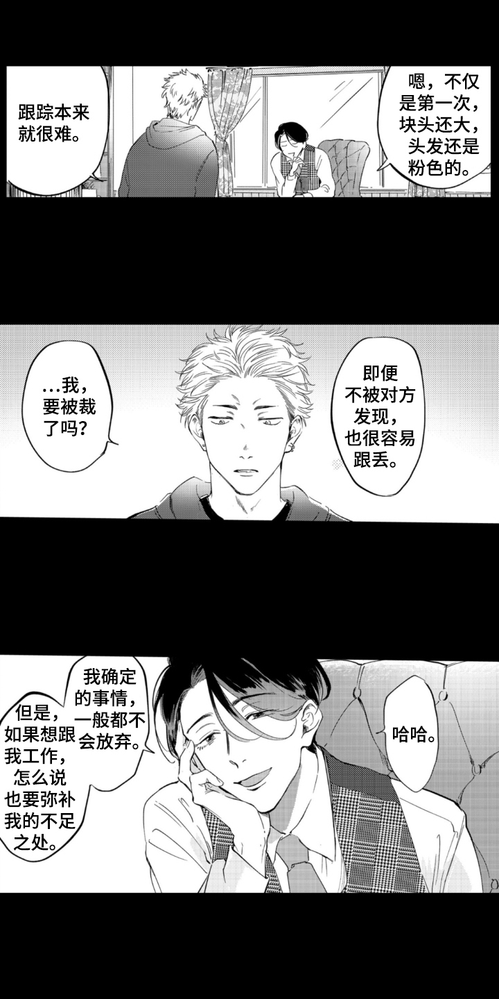 侦探助手小程序漫画,第3章：找猫1图