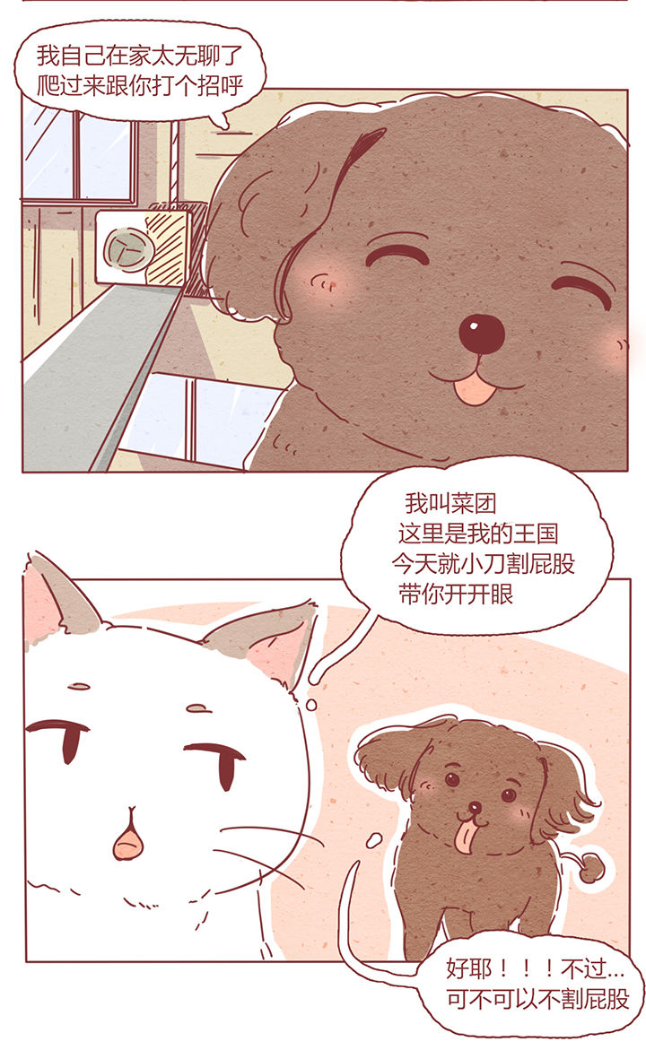 晴天娃娃可怕的传说漫画,第2章：1图