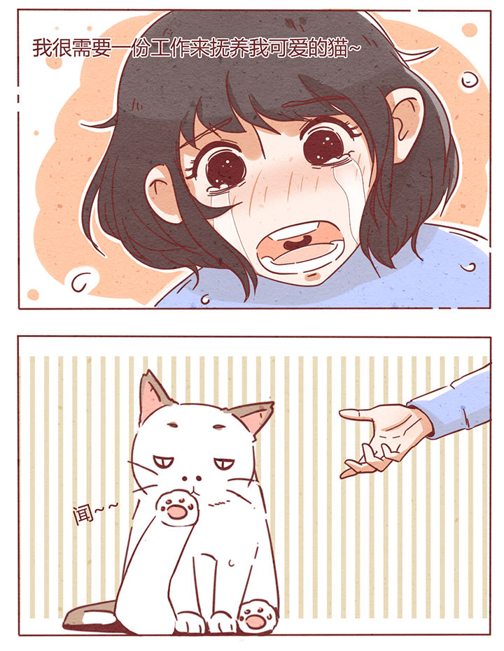 晴天港湾漫画内容漫画,第1章：2图
