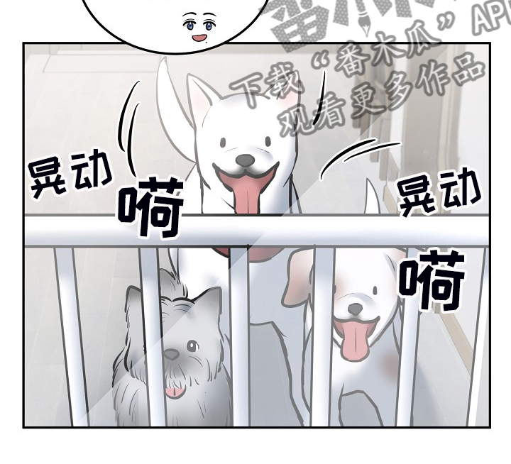 极度反差代表人物漫画,第43章：给狗狗拍照2图