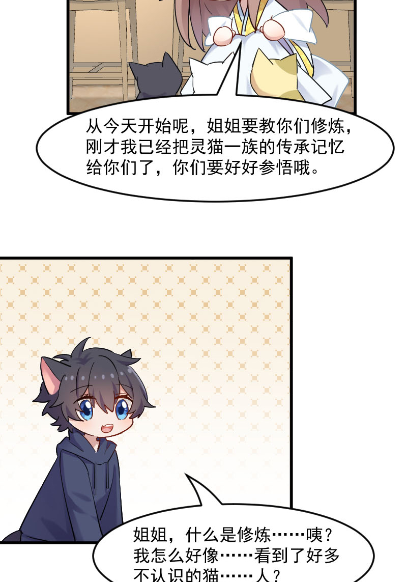 我的男票是妖怪第二季动漫漫画,第120章：超豪华的猫屋！1图