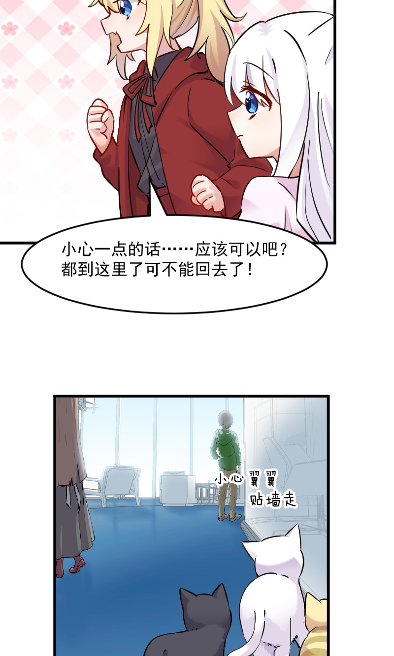 救命我的男票是妖怪第二季全集漫画,第125章：总裁的爱猫之心2图