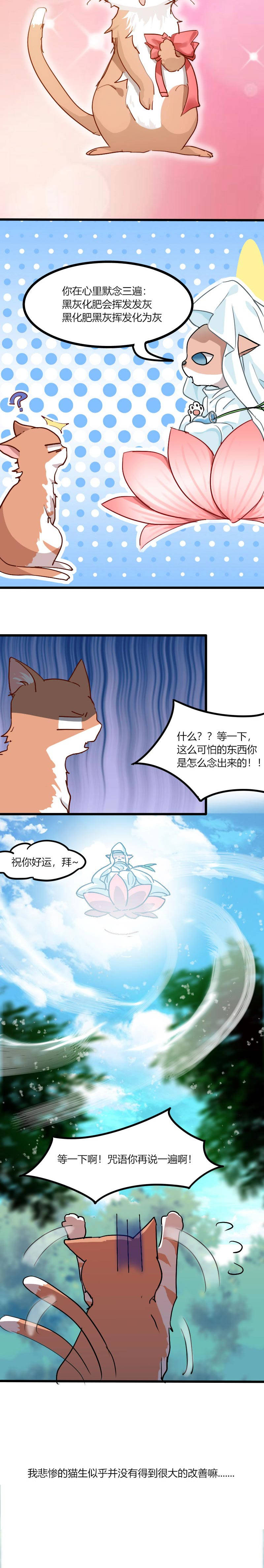 救命我的男票是妖怪第三季全集漫画,第3章：悲惨的喵生2图