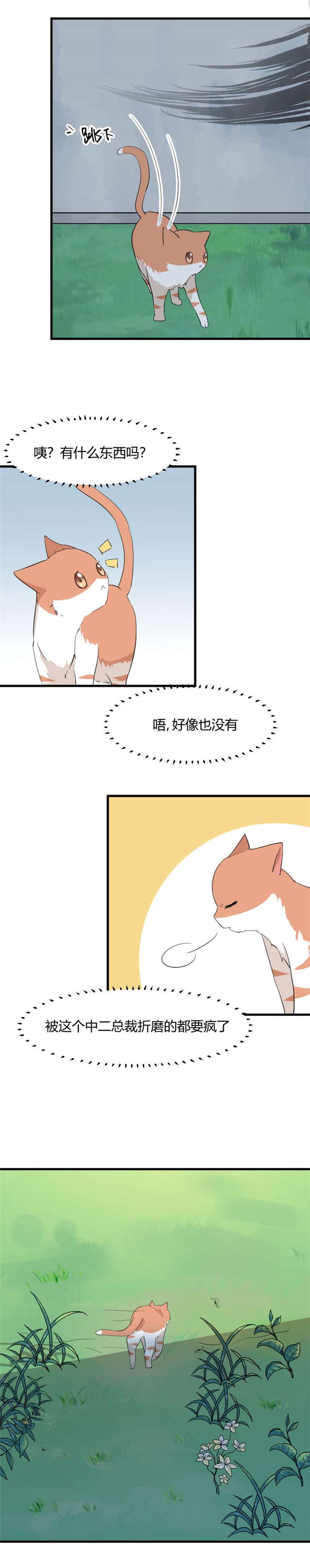 救命我的男票是妖怪动漫免费观看漫画,第1章：偶遇中二总裁2图