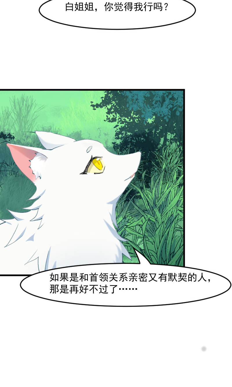 救命我的男票是妖怪第四季结局漫画,第112章：猫的报恩2图