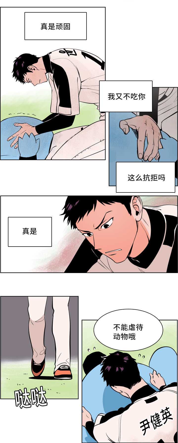 天衢新区人民政府网漫画,第4章：接受采访1图