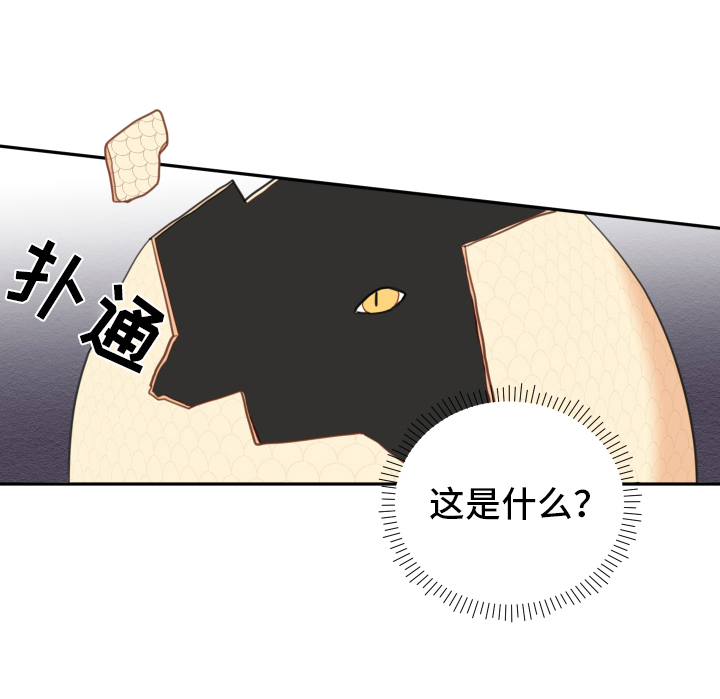 砚与龙漫画,第2章：孵化1图