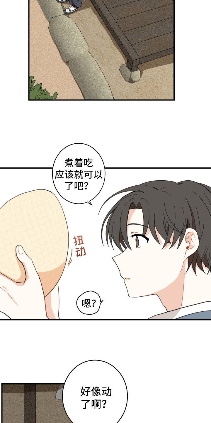 砚与龙漫画,第2章：孵化2图